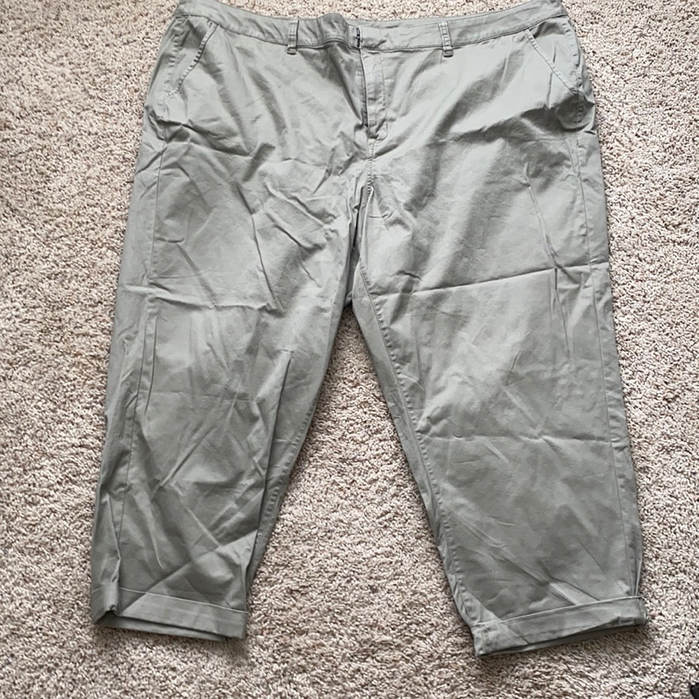 Lane Bryant crop size 26